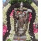 Tiruchendur Subramanaya Swamy Temple  Rare Darshan 